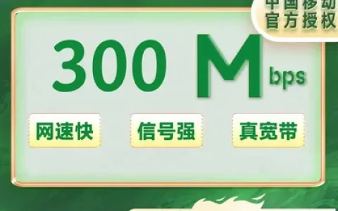 江苏南京移动单宽带300M一年360元（包安装费）