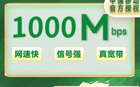 广东移动1000M一年1200元 +100安装费