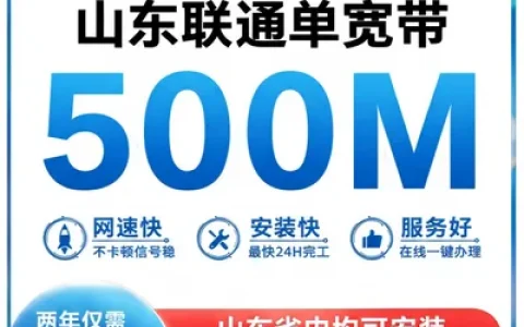 山东联通500M两年
