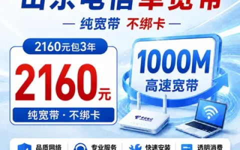山东电信2160元包3年单宽带1000M【不含调试费】