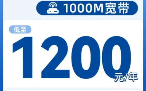 海南电信单宽1000M1200元一年