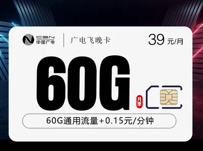 广电飞晚卡【39元60G】【仅发吉林】