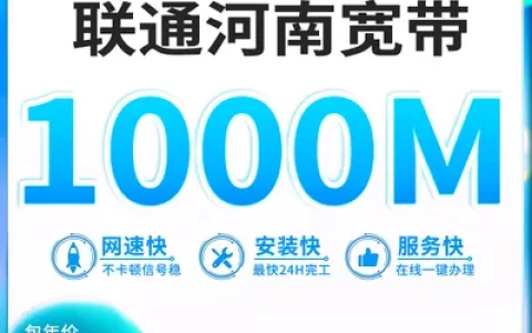 河南联通1000M1200元包年单宽