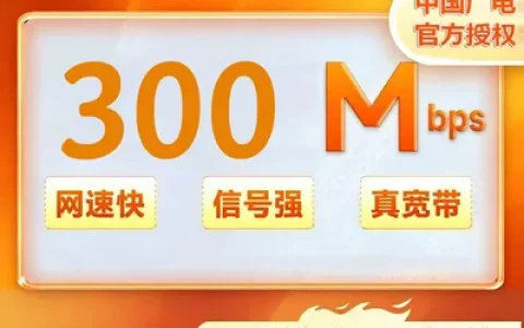 重庆广电300M两年480元