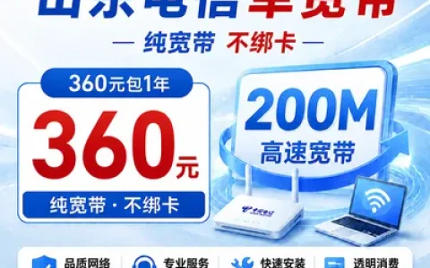 山东电信360元包1年单宽带200M【不含调试费】