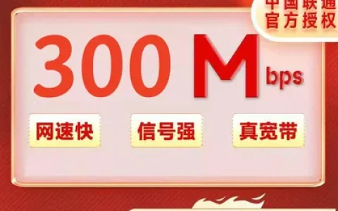 安徽合肥联通300M包年480元（免安装费）