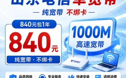 山东电信840元包1年单宽带1000M【不含调试费】