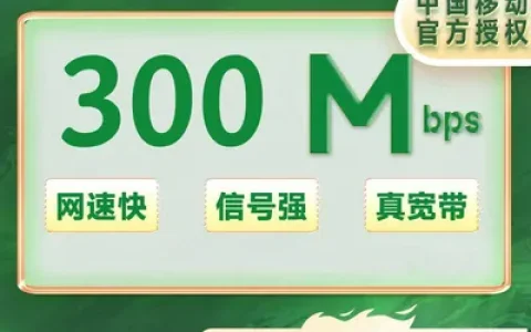 合肥移动300M一年480元（包安装费）