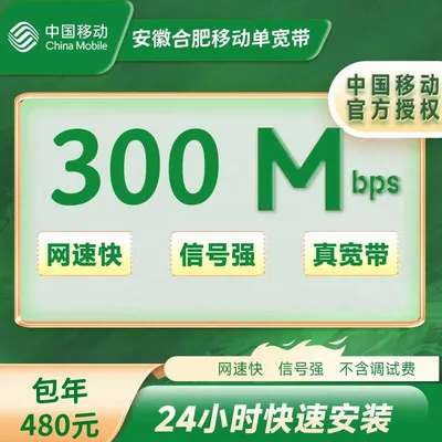 合肥移动300M一年480元（包安装费）