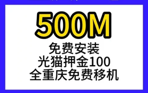 重庆广电单宽500M300元包年