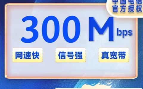 浙江宁波电信300M一年480元+100安装费