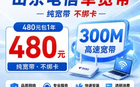 山东电信480元包1年单宽带300M【不含调试费】