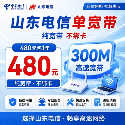 山东电信480元包1年单宽带300M【不含调试费】