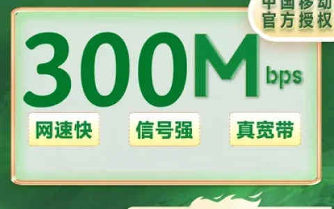 浙江移动单宽带300M一年480元（0-100安装费）