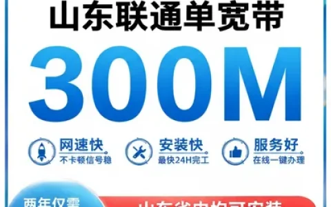 山东联通300M两年