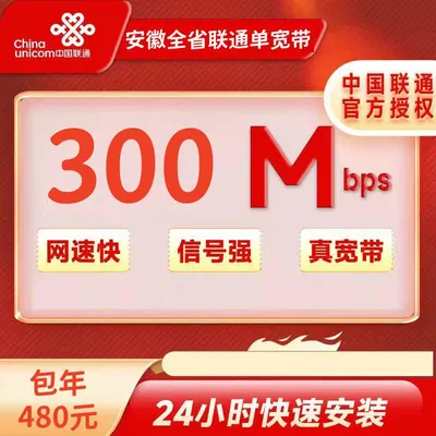 安徽联通300M一年480元+100安装费