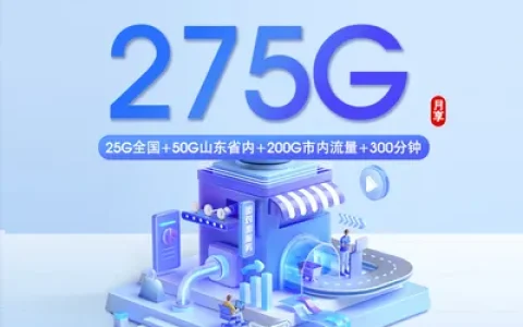 联通潍坊专享卡【39元275G+300分钟】