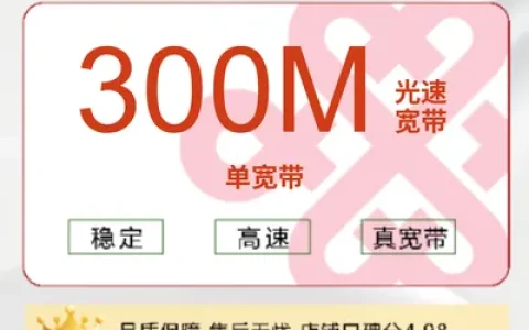 上海联通单宽300M480包年