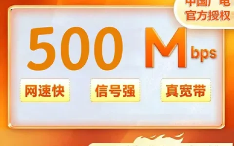重庆广电500M一年300元