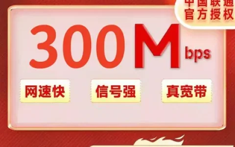 浙江联通300M包年480元+100元安装费