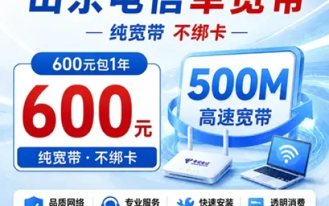 山东电信600元包1年单宽带500M【不含调试费】