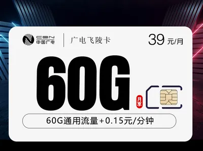 广电飞陵卡【39元60G】【仅发重庆】