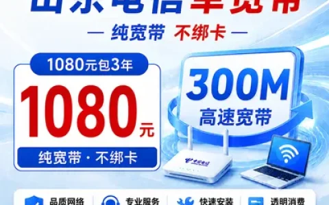 山东电信1080元包3年单宽带300M【不含调试费】