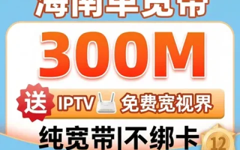 海南联通300M单宽带产品