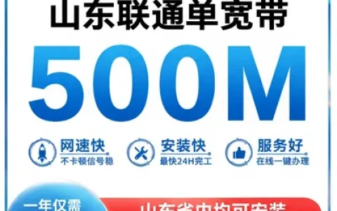 山东联通500M一年