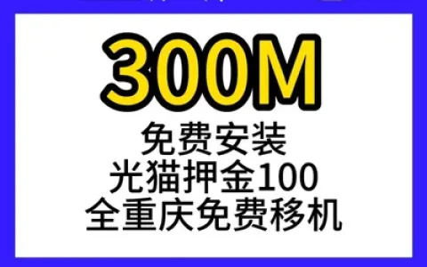 重庆广电单宽300M240元包年