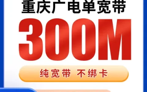 重庆广电单宽带240元包年300M【只发重庆】