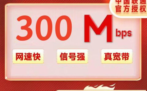 云南联通300M一年360元