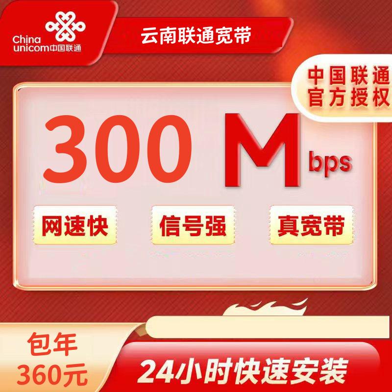 云南联通300M一年360元