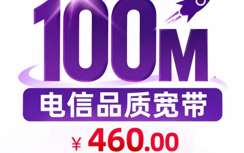 上海电信翼长宽100M一年