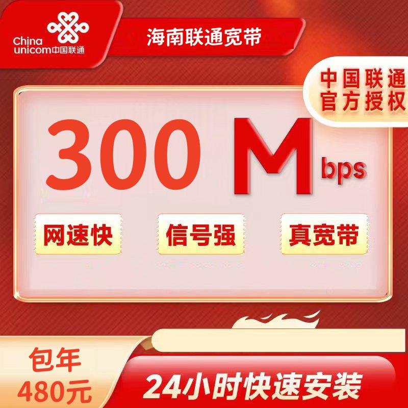 海南联通300M一年480元+100安装费