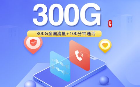 联通飞翅卡【39元300G+100分钟】