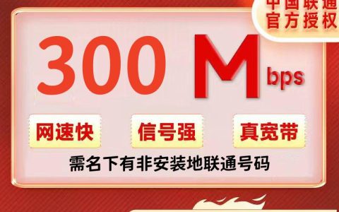 陕西跨域联通300M/40元/月+100安装费（必须联通非装机地的联通老号可办）