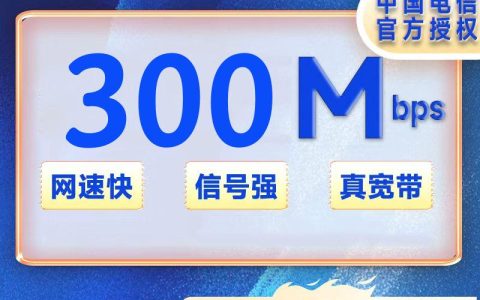 上海电信单宽带300M720包年+100安装费（光猫带WIFI）