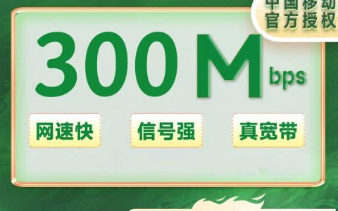 湖南移动300M一年460元（包安装费）