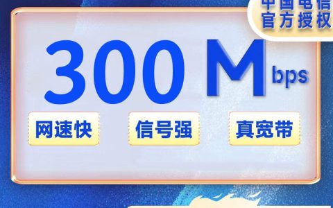 湖南电信300M一年480元+安装费100元