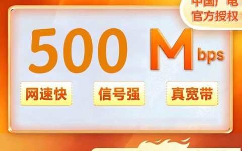 重庆广电500M三年900元