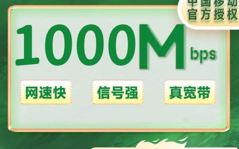 湖南移动1000M一年1300元（包安装费）