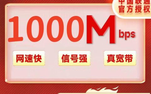 陕西联通1000M/160元/月+100安装费