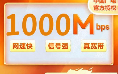 安徽合肥广电 1000M二年980元