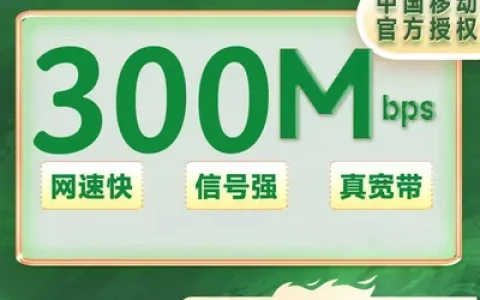 重庆移动单宽300M包年360元（包安装费实名）