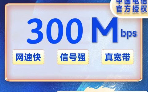 广西电信300M=40元/月+100安装费（自备光猫无安装费，实名）