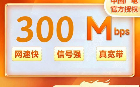 重庆广电300M两年480元