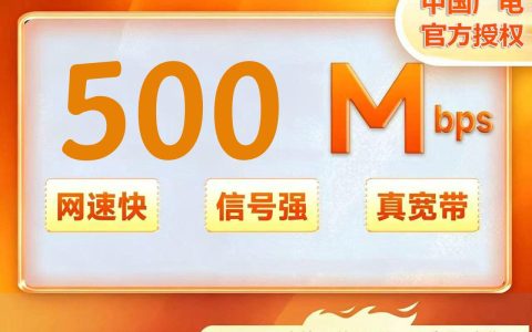重庆广电500M一年300元