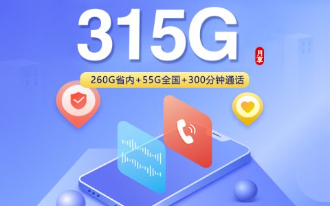 联通包年卡【月均30元315G】【仅发山东】